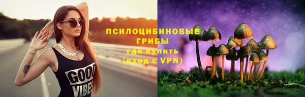 прущая мука Армянск