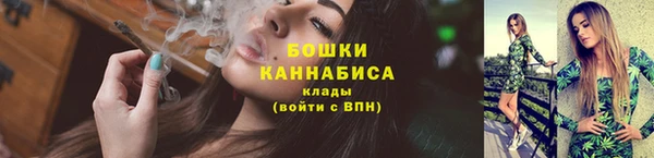амф Арсеньев