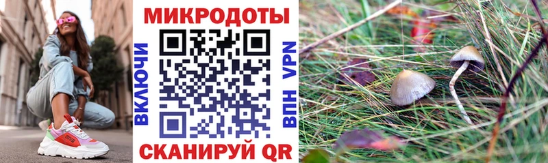 мега ONION  наркошоп  Новоаннинский  Галлюциногенные грибы мухоморы 